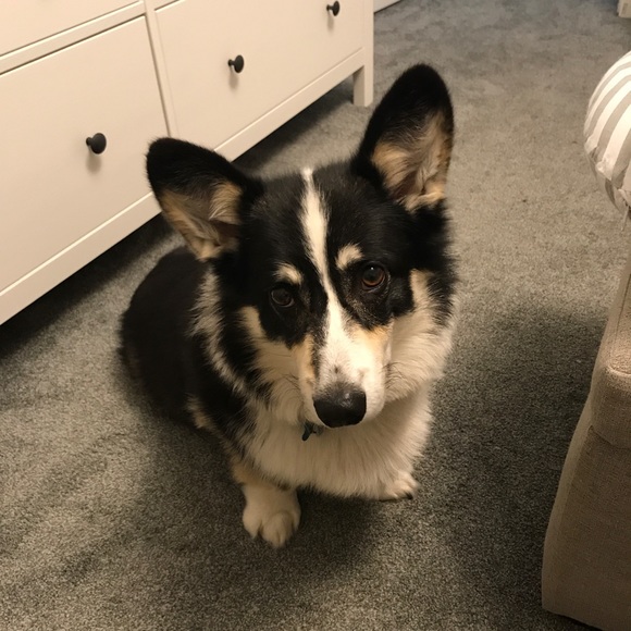 Meet your Posher, Lindsay - Picture 1 of 1